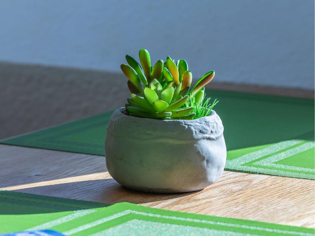 Ferienwohnung Seeblick room 6